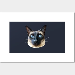 Siamese Cat Seal Point Blue eye beauty! Posters and Art